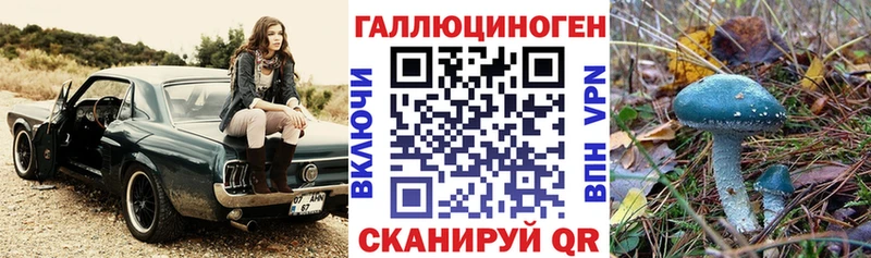 blacksprut сайт  Ногинск  Псилоцибиновые грибы ЛСД 