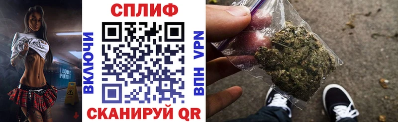 KRAKEN сайт  купить наркотик  Ногинск  Бошки Шишки семена 